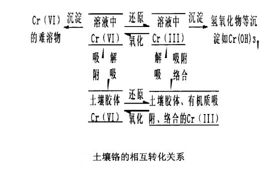 土壤中鉻污染的相互轉化